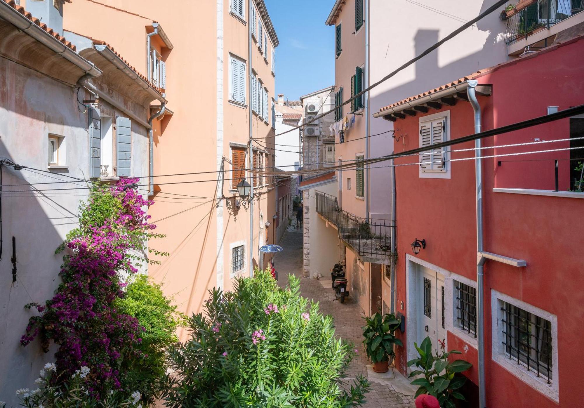 Hinterreiter * Rovinj